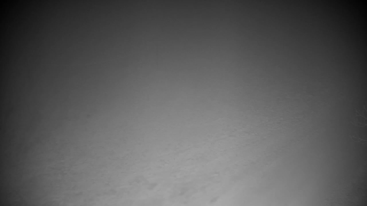 Webcam Ribnik Vrbje – Žalec