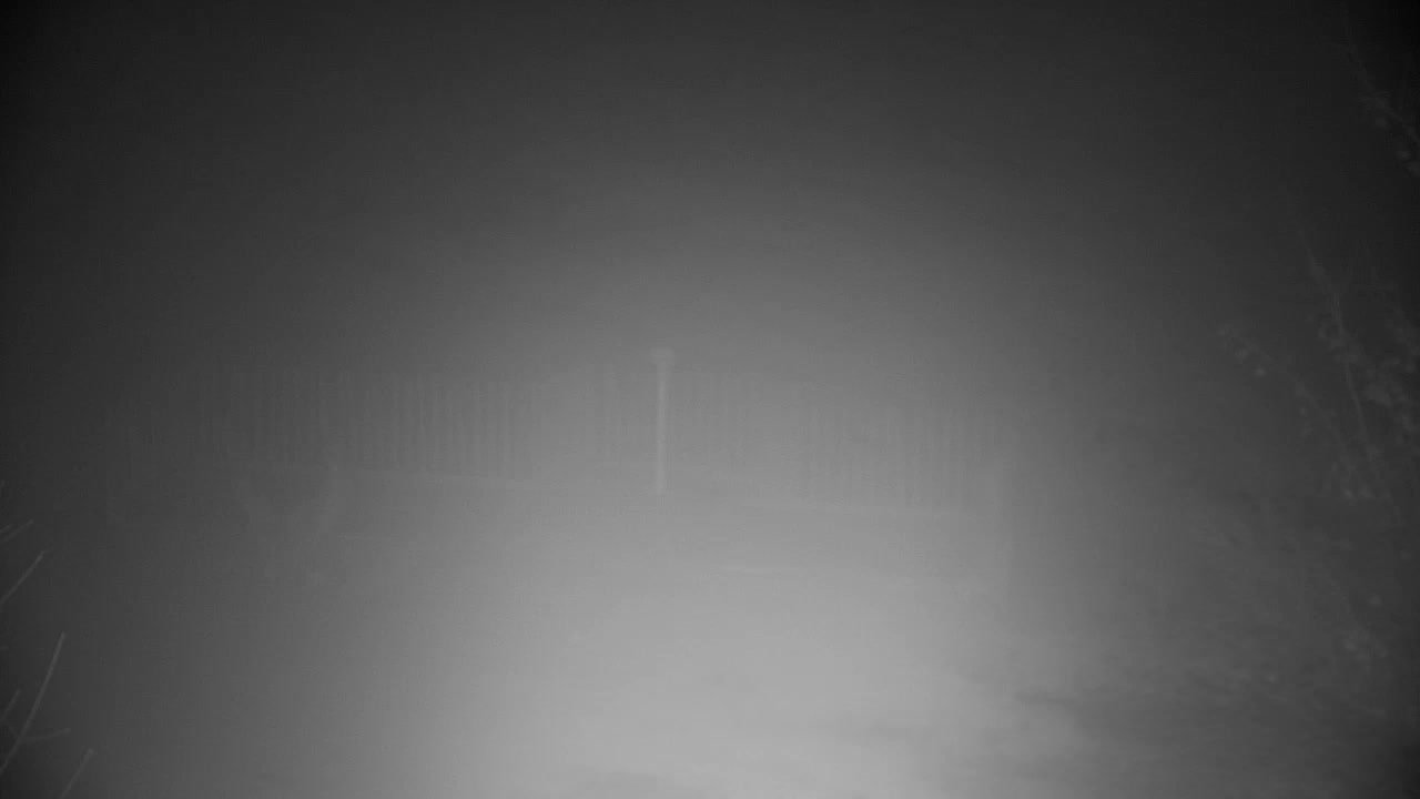 Webcam Ribnik Vrbje – Žalec