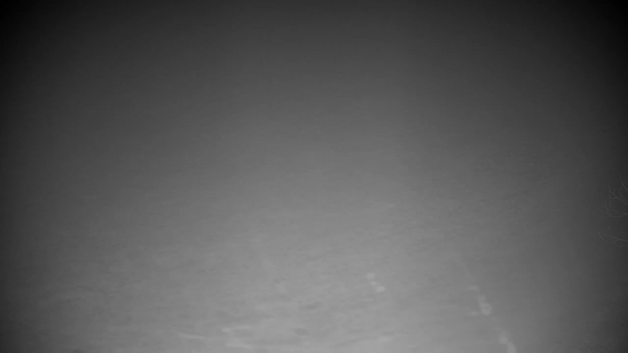 Webcam Ribnik Vrbje – Žalec