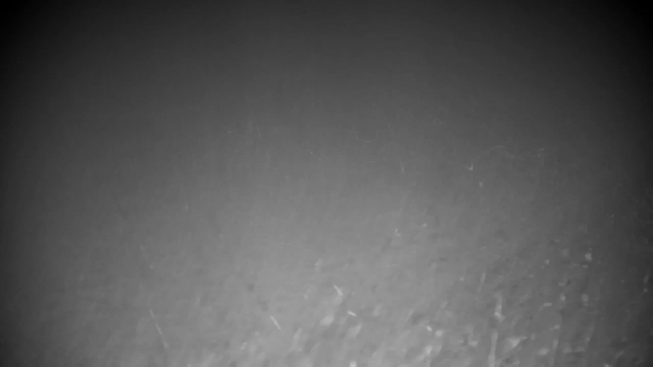 Webcam Ribnik Vrbje – Žalec