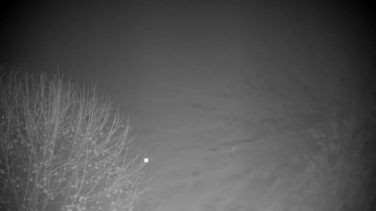 Webcam Ribnik Vrbje – Žalec