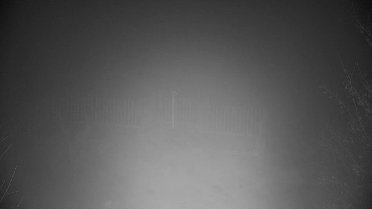 Webcam Ribnik Vrbje – Žalec