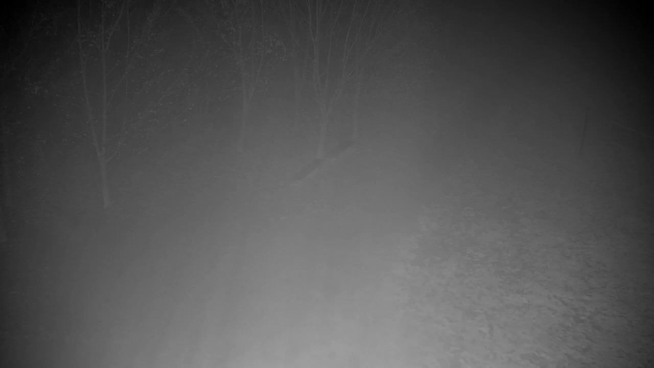 Webcam Ribnik Vrbje – Žalec