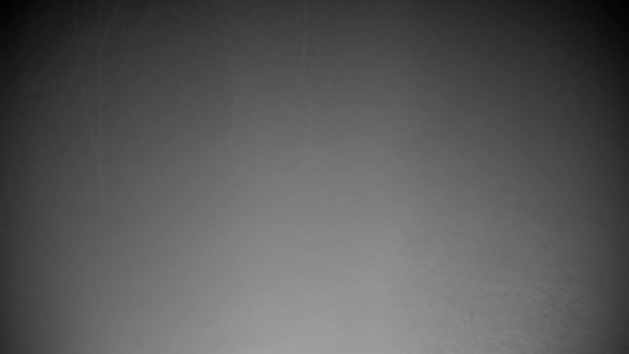 Webcam Ribnik Vrbje – Žalec