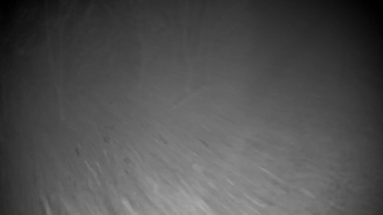 Webcam Ribnik Vrbje – Žalec