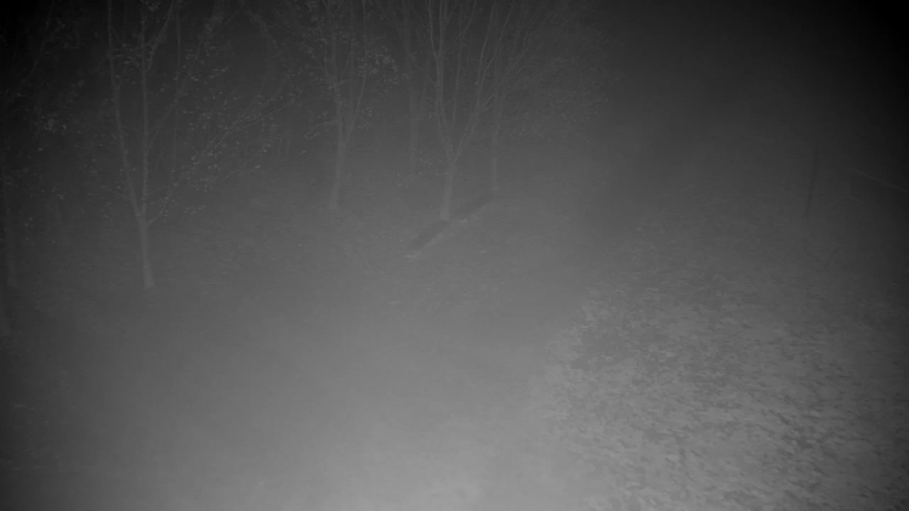 Webcam Ribnik Vrbje – Žalec