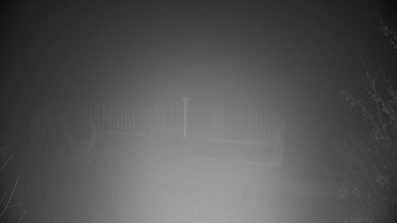 Spletna kamera Ribnik Vrbje – Žalec