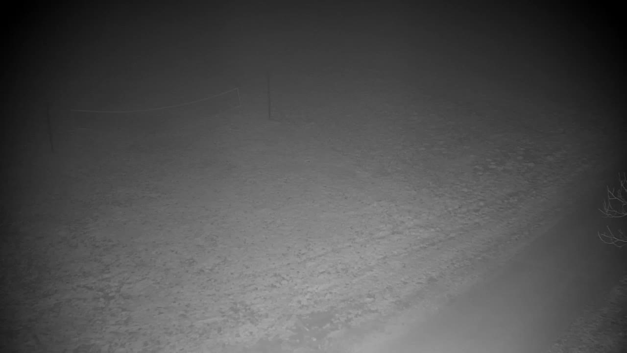 Webcam Ribnik Vrbje – Žalec