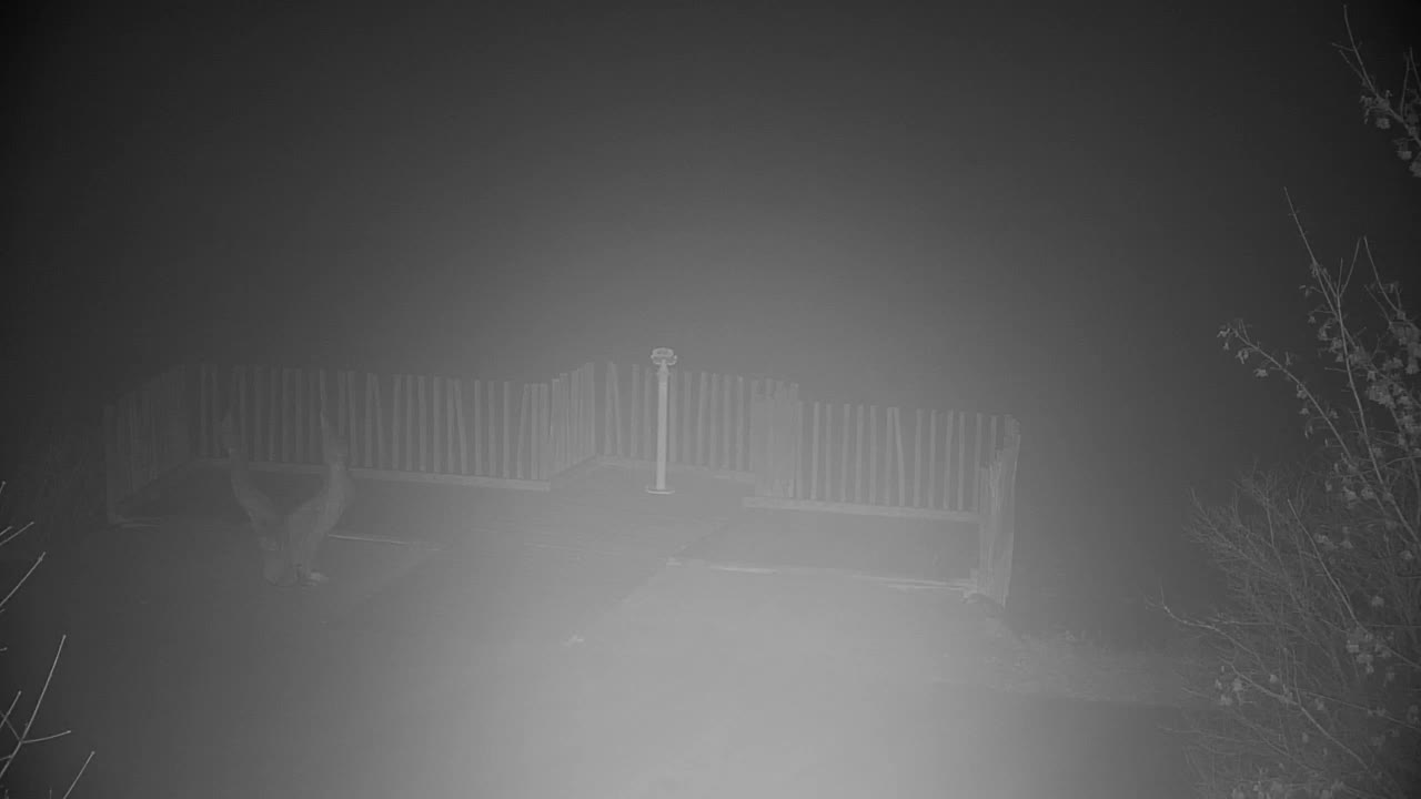 Webcam Ribnik Vrbje – Žalec