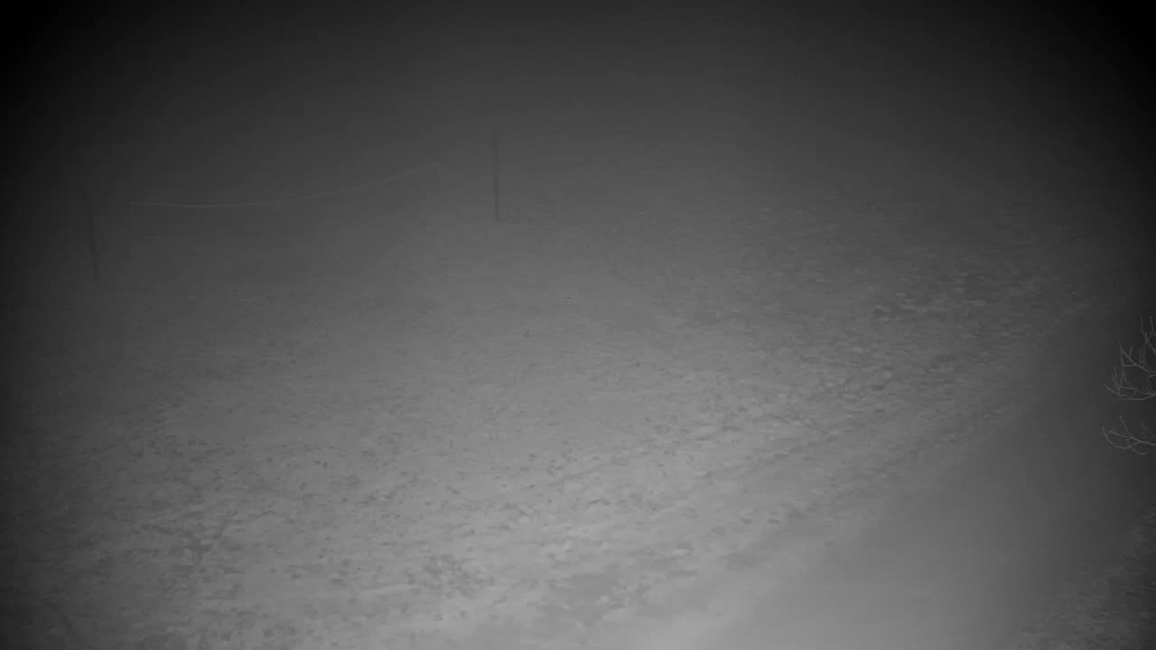 Webcam Ribnik Vrbje – Žalec