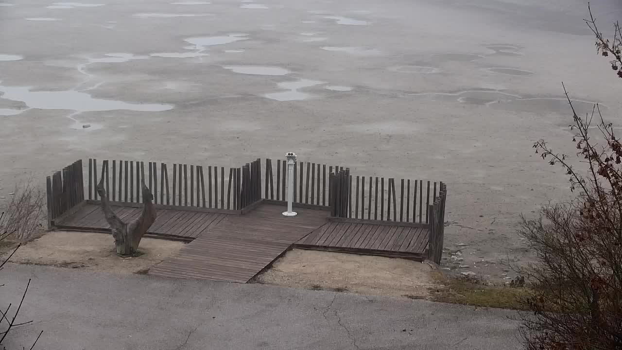 Spletna kamera Ribnik Vrbje – Žalec