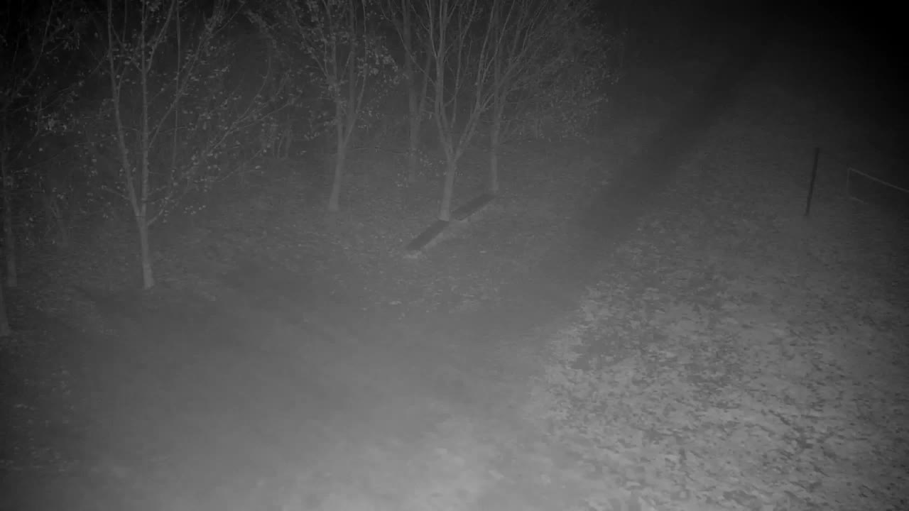 Webcam Ribnik Vrbje – Žalec