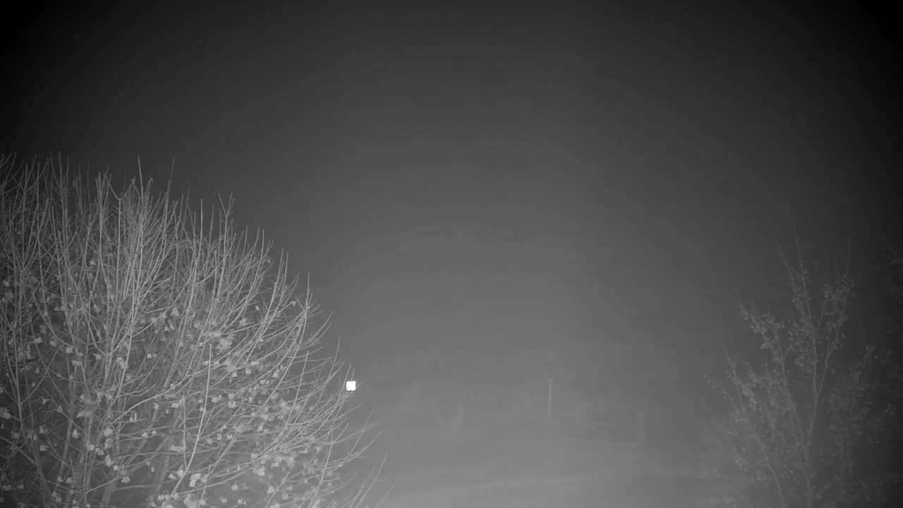 Webcam Ribnik Vrbje – Žalec