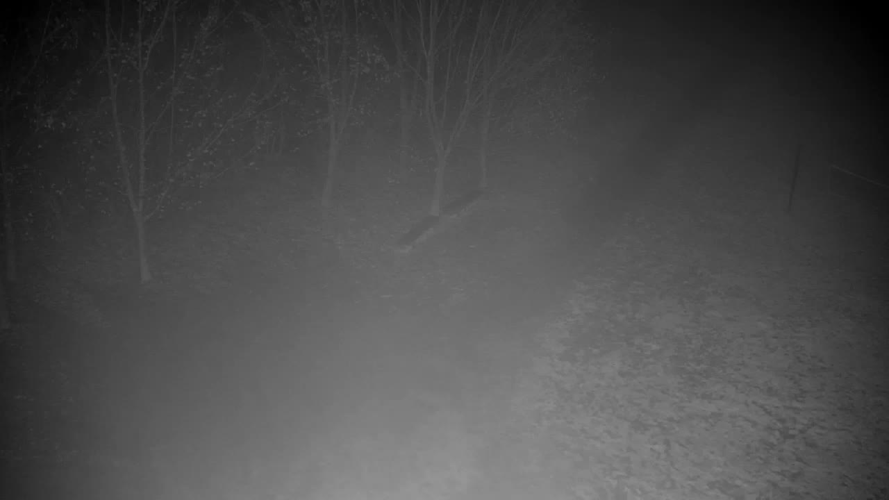 Webcam Ribnik Vrbje – Žalec