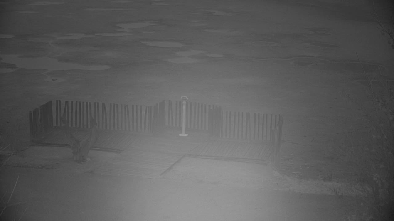 Webcam Ribnik Vrbje – Žalec