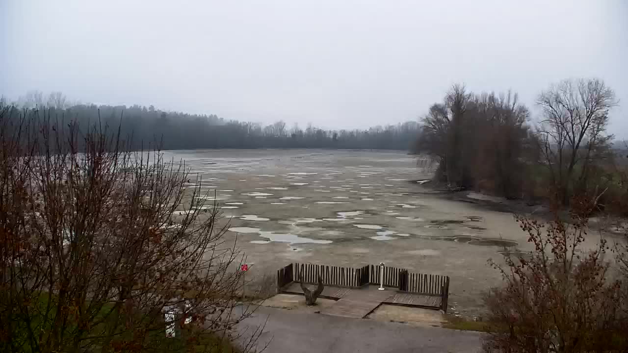 Webcam Ribnik Vrbje – Žalec