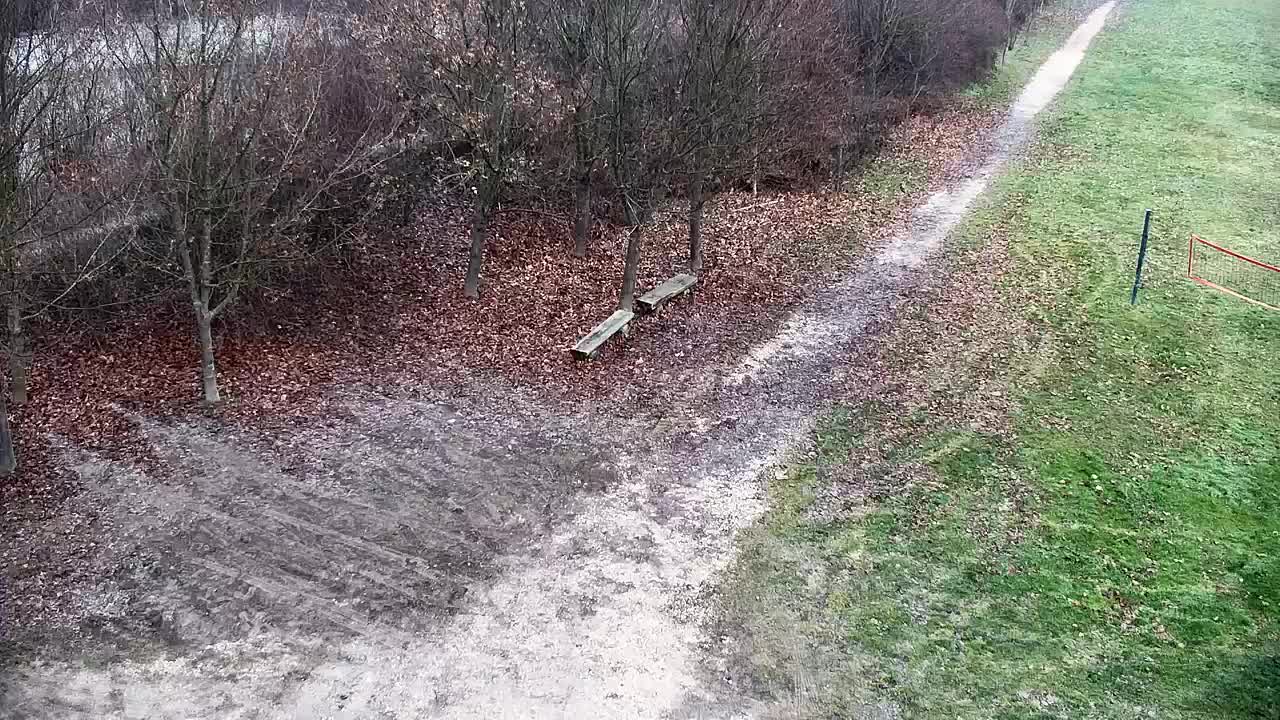 Webcam Ribnik Vrbje – Žalec