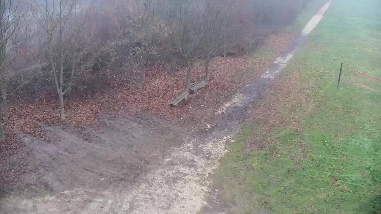 Webcam Ribnik Vrbje – Žalec