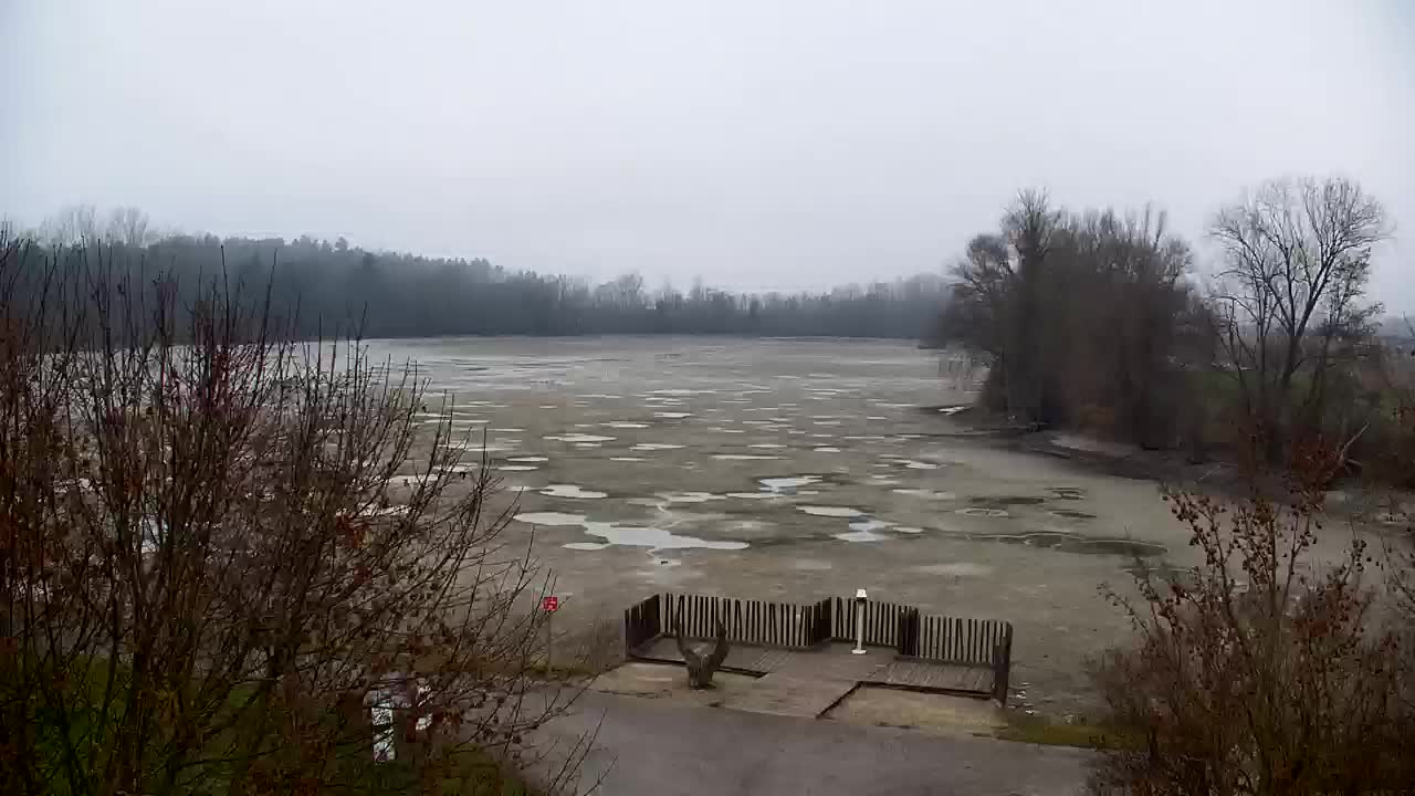 Webcam Ribnik Vrbje – Žalec