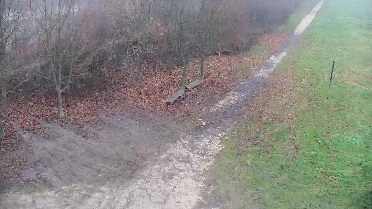 Spletna kamera Ribnik Vrbje – Žalec