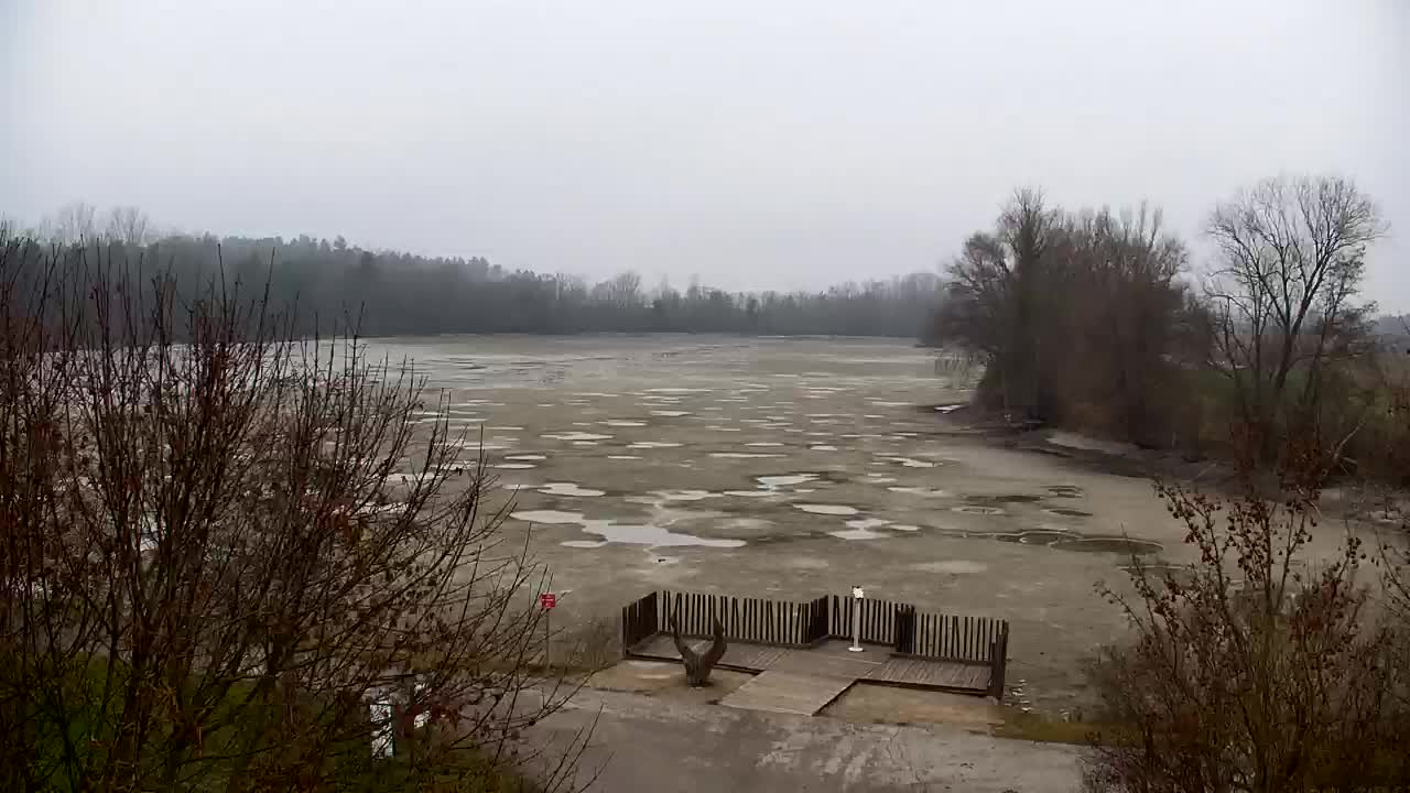 Webcam Ribnik Vrbje – Žalec