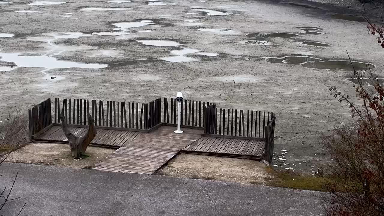 Webcam Ribnik Vrbje – Žalec