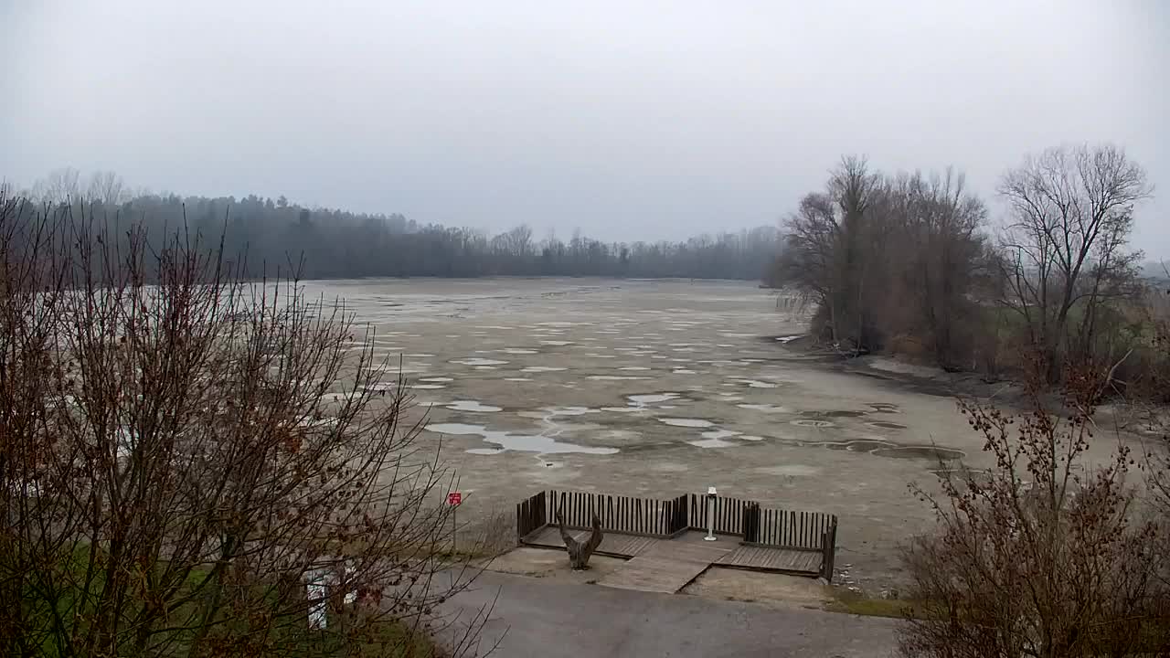 Webcam Ribnik Vrbje – Žalec