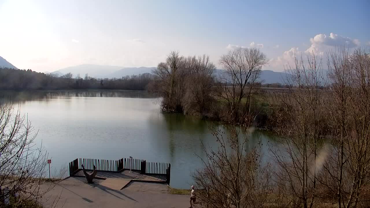 Webcam Ribnik Vrbje – Žalec
