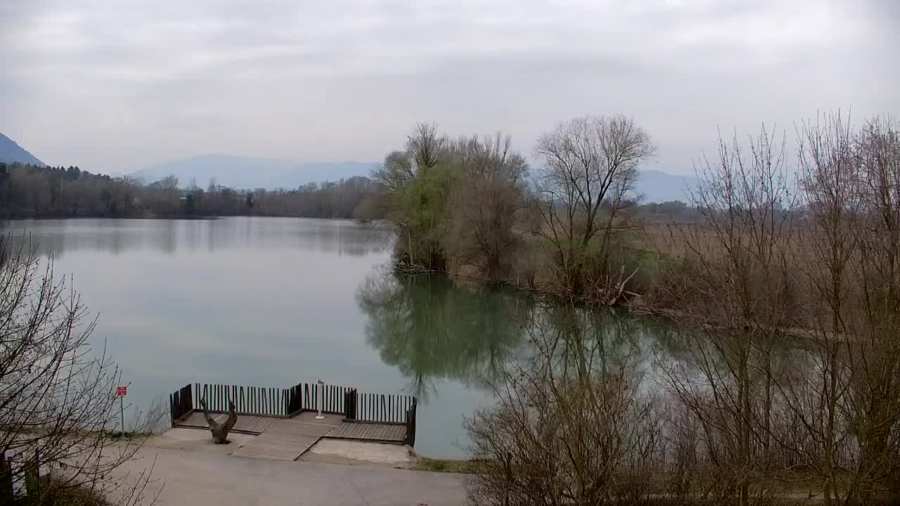 Webcam Ribnik Vrbje – Žalec