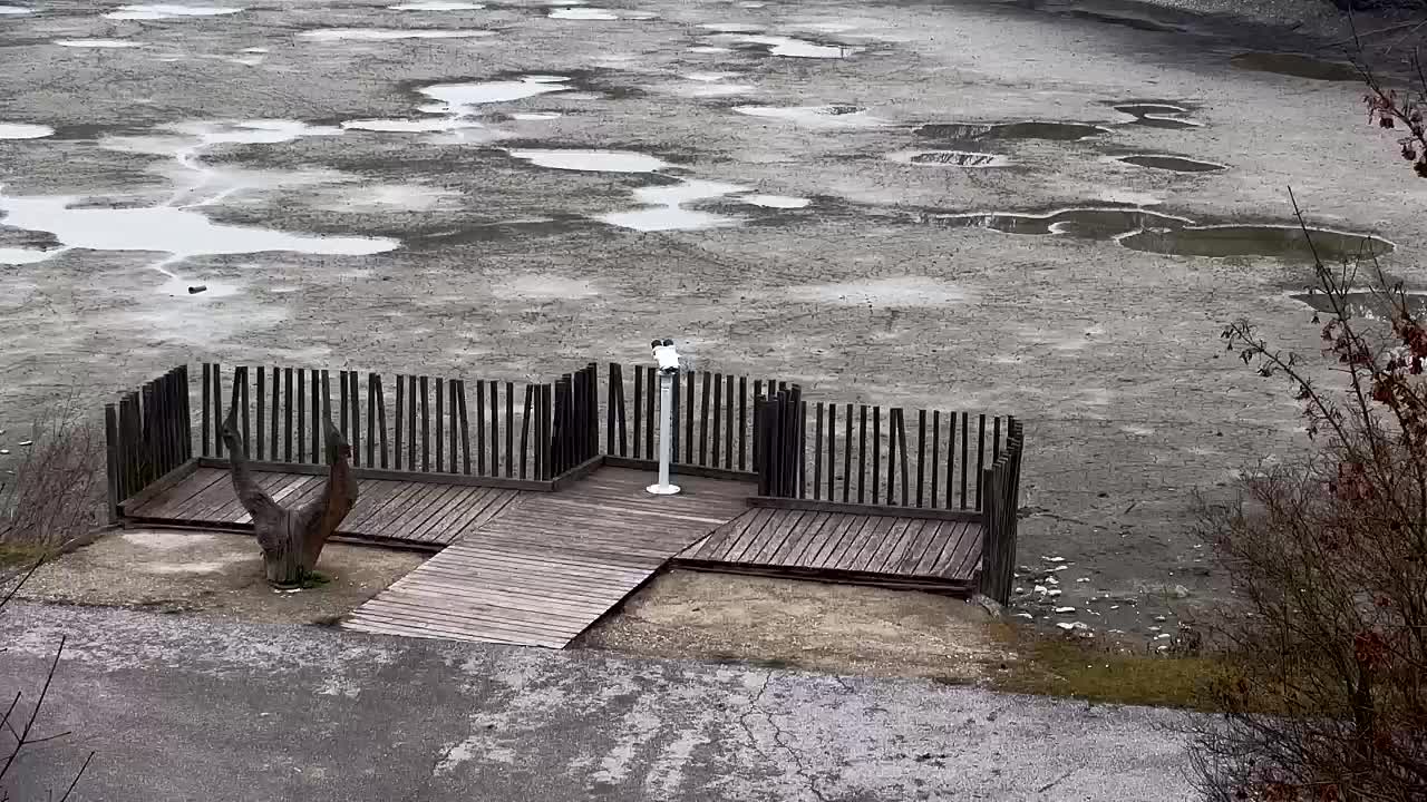 Spletna kamera Ribnik Vrbje – Žalec