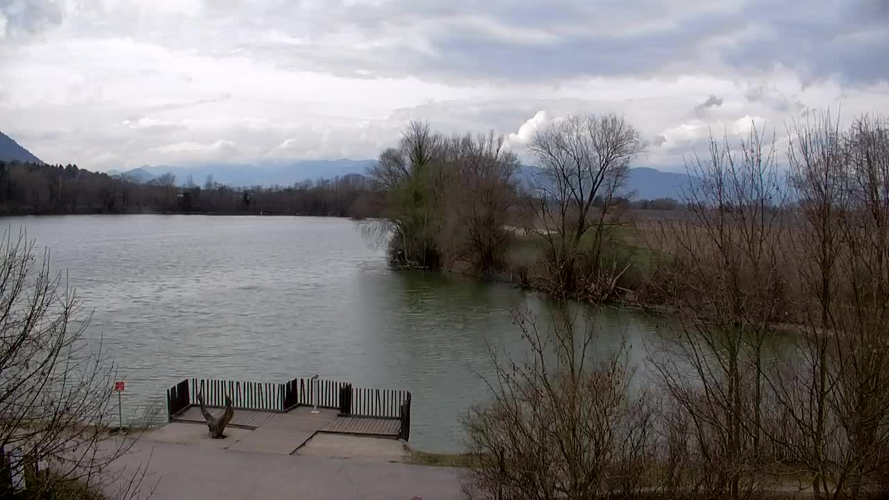 Webcam Ribnik Vrbje – Žalec