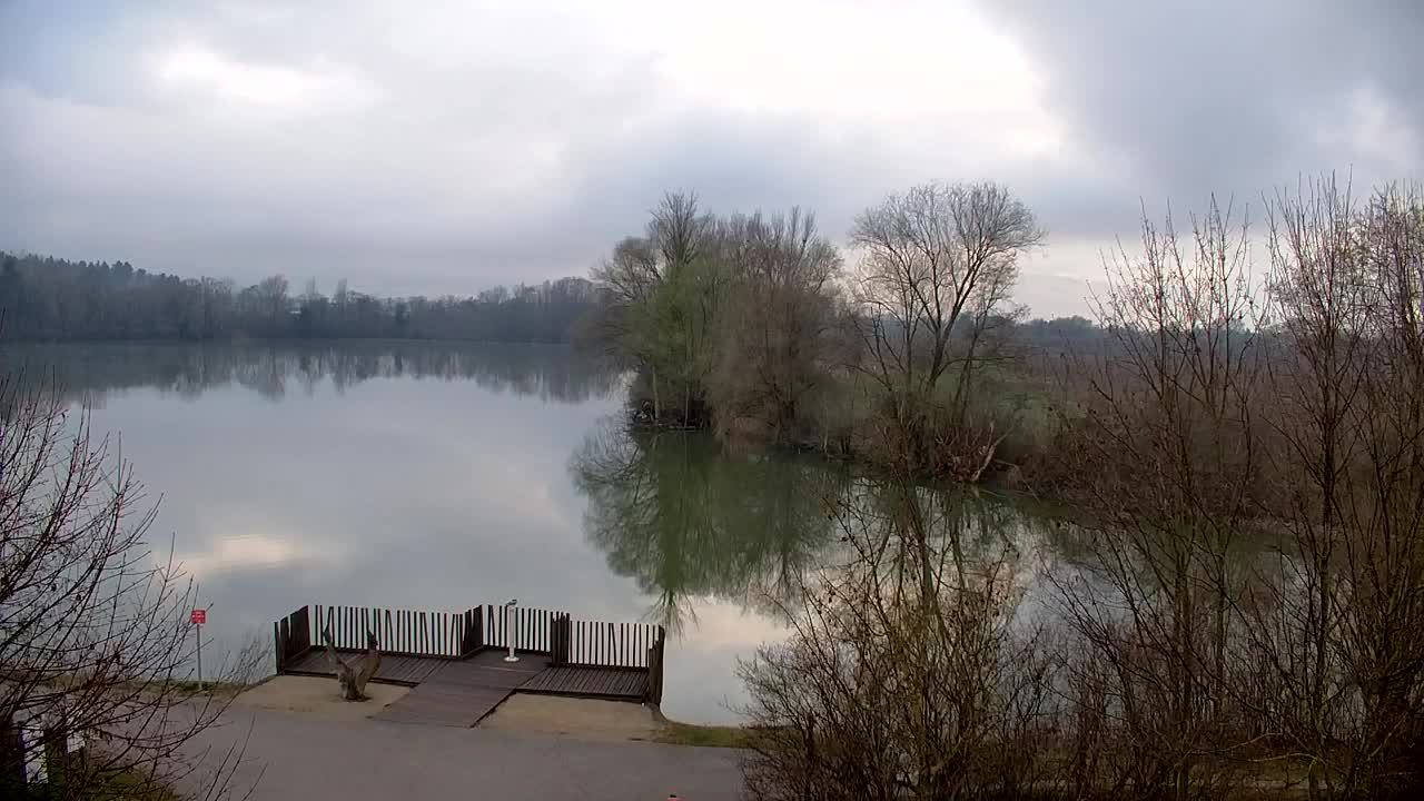 Webcam Ribnik Vrbje – Žalec