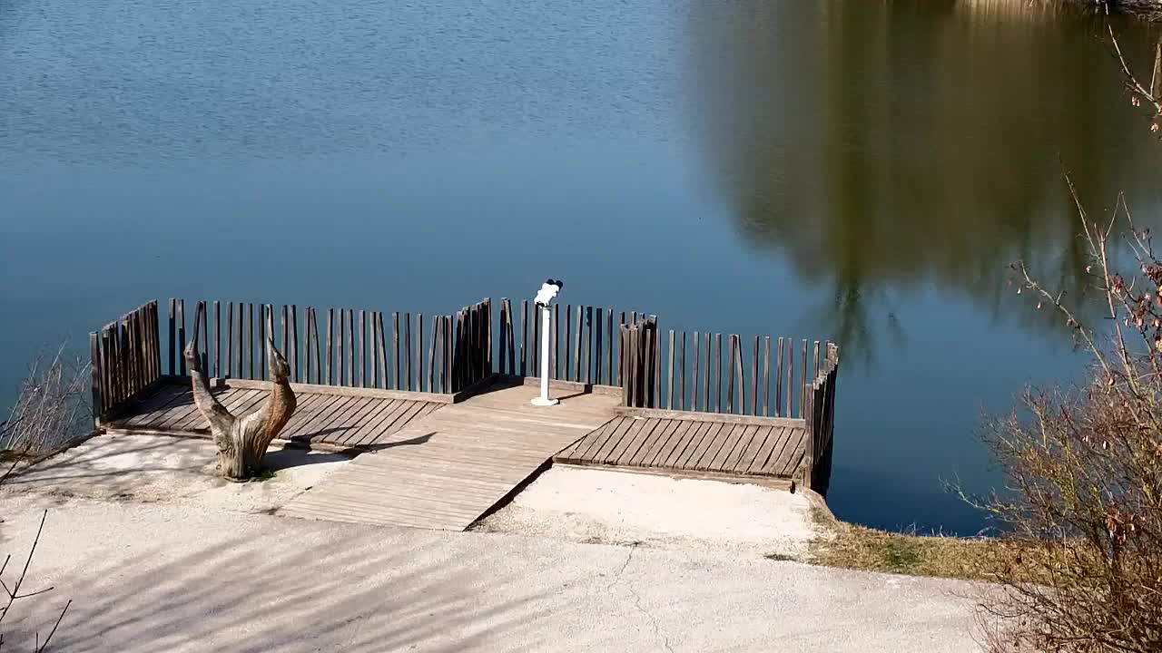 Spletna kamera Ribnik Vrbje – Žalec