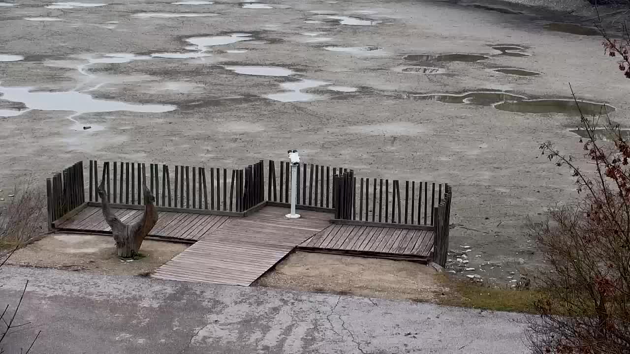 Webcam Ribnik Vrbje – Žalec