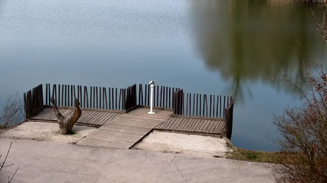 Webcam Ribnik Vrbje – Žalec