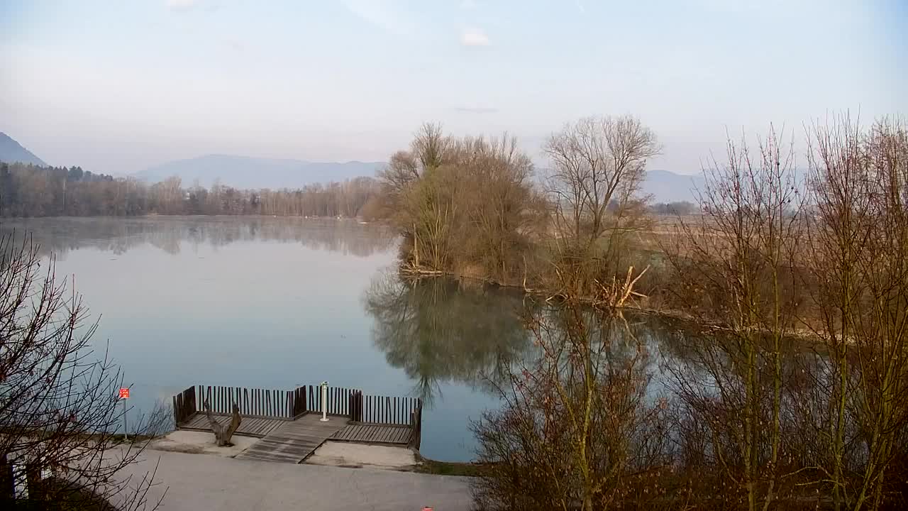 Webcam Ribnik Vrbje – Žalec