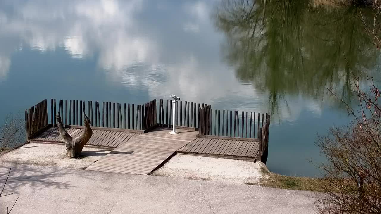 Webcam Ribnik Vrbje – Žalec