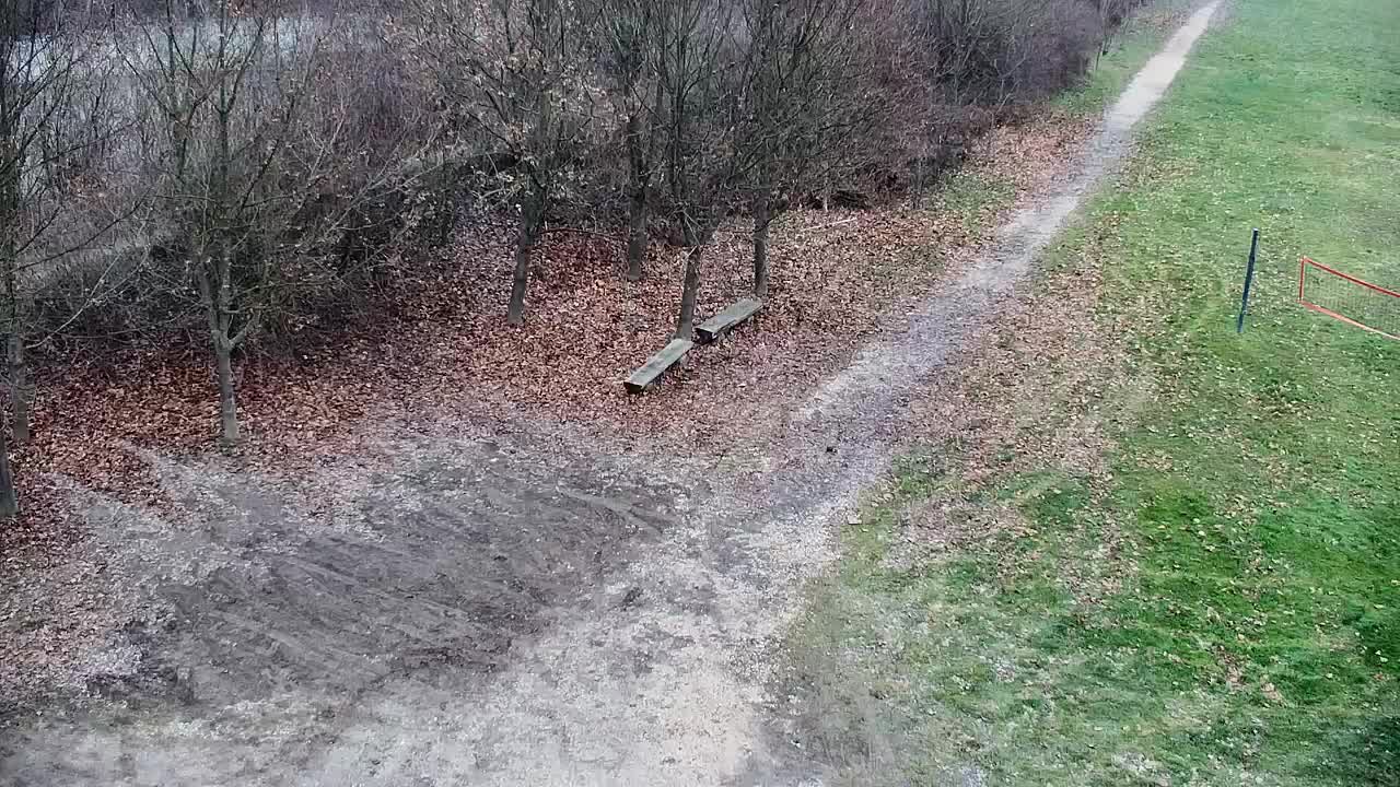 Webcam Ribnik Vrbje – Žalec