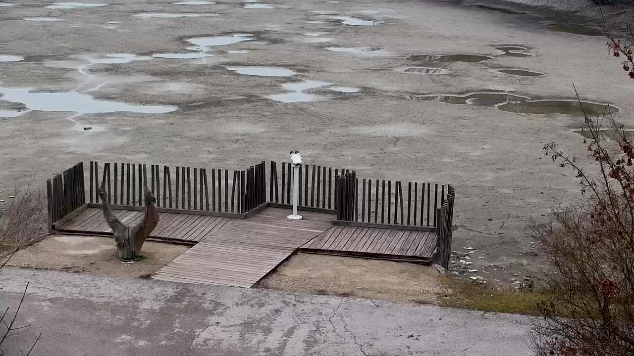 Web kamera Ribnik Vrbje – Žalec