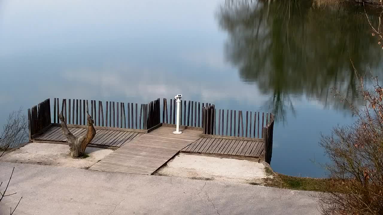 Webcam Ribnik Vrbje – Žalec