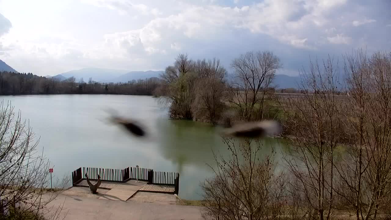 Webcam Ribnik Vrbje – Žalec