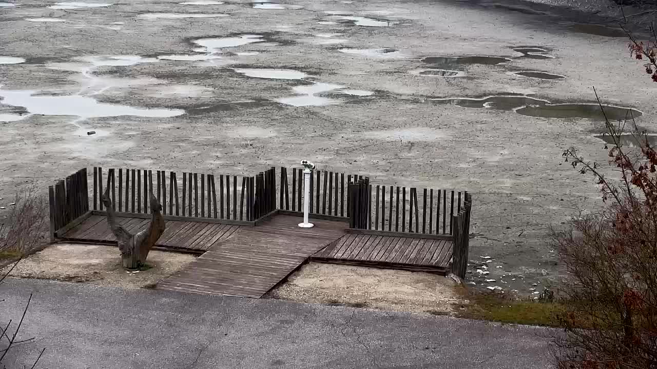 Webcam Ribnik Vrbje – Žalec