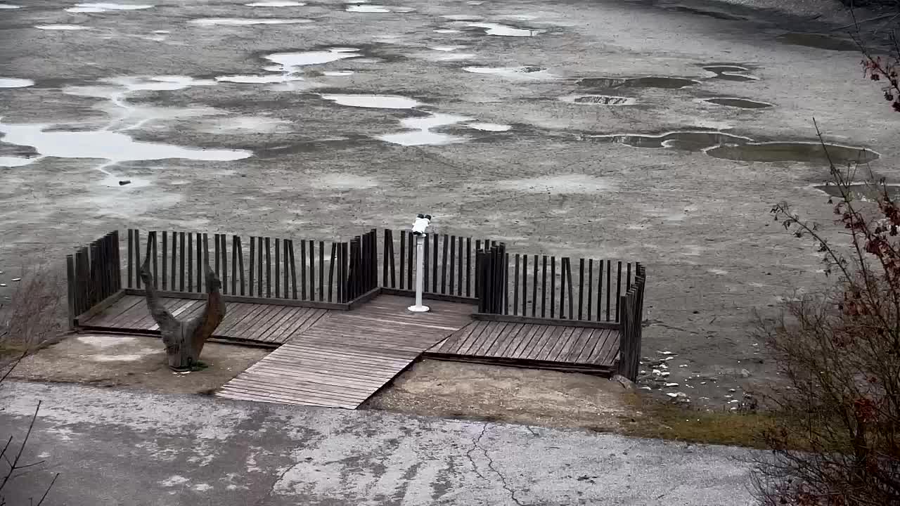 Webcam Ribnik Vrbje – Žalec