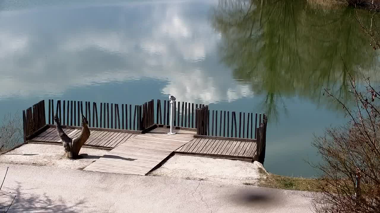 Webcam Ribnik Vrbje – Žalec