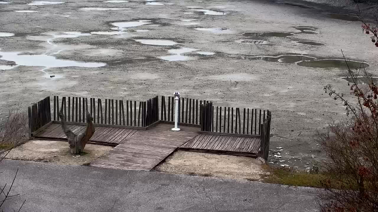 Webcam Ribnik Vrbje – Žalec