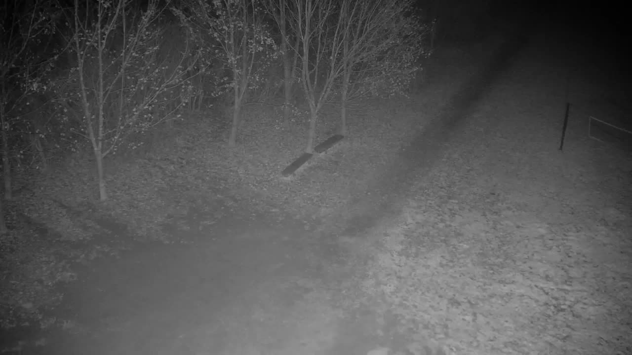 Webcam Ribnik Vrbje – Žalec