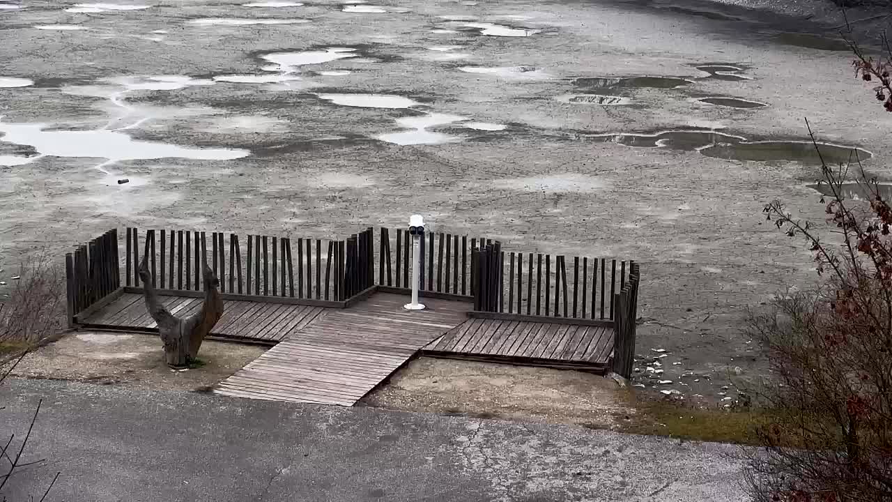 Webcam Ribnik Vrbje – Žalec