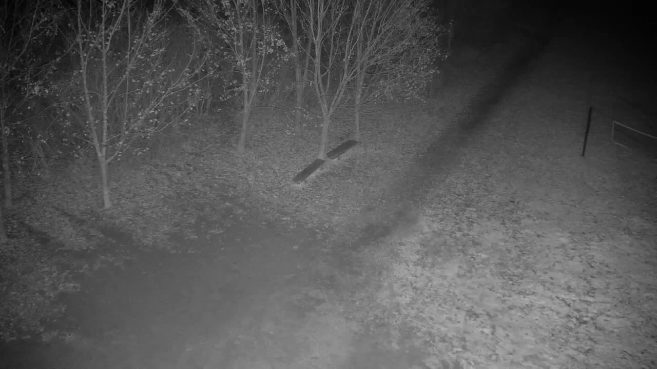 Webcam Ribnik Vrbje – Žalec