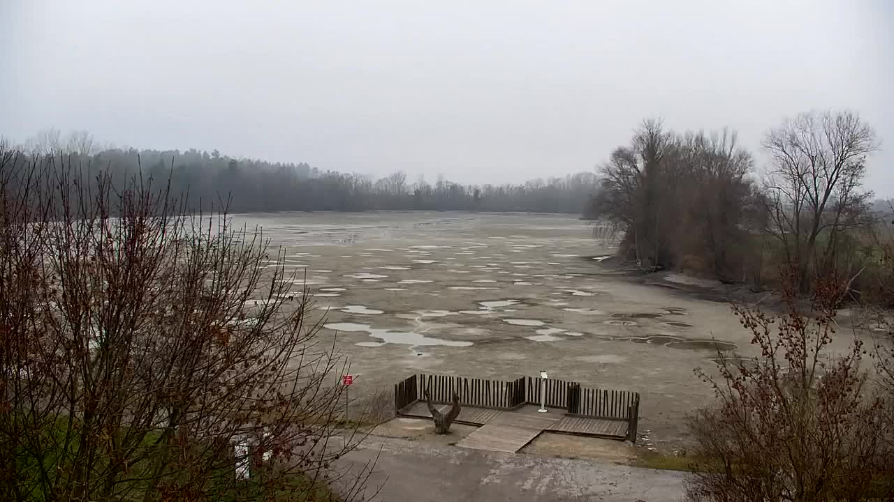 Webcam Ribnik Vrbje – Žalec