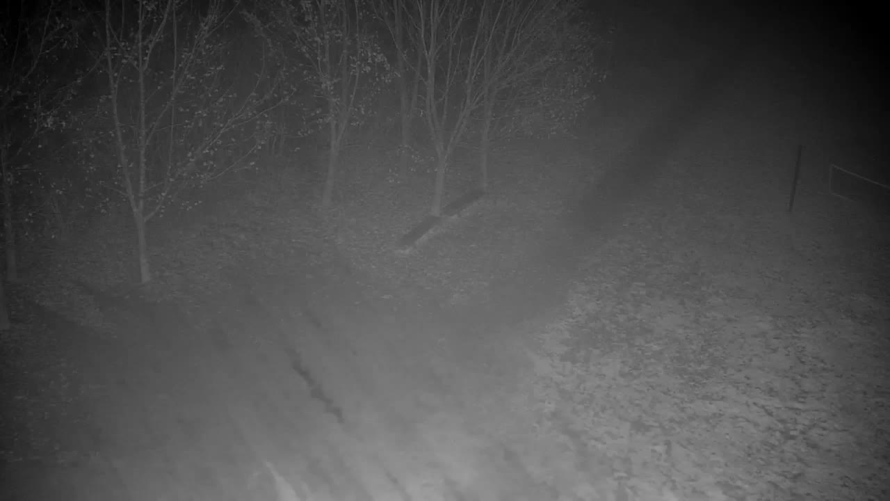 Webcam Ribnik Vrbje – Žalec